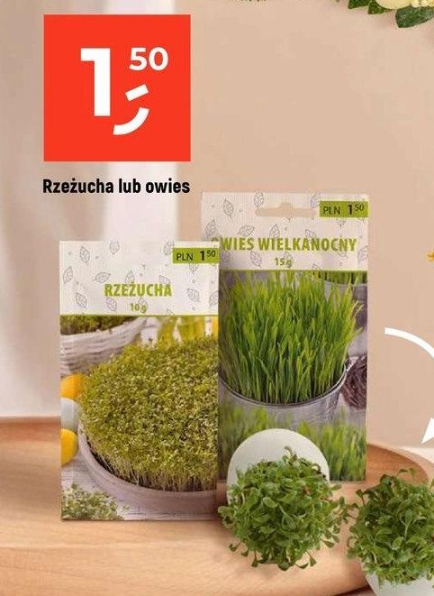 Owies wielkanocny promocja w Dealz