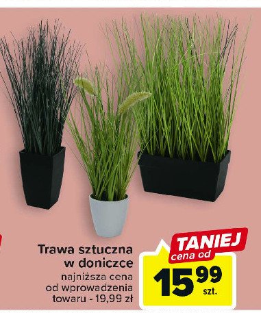 Trawa sztuczna promocja