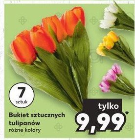 Bukiet tulipanow promocja