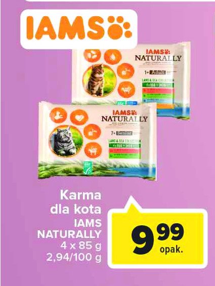 Karma dla kota mięsna Iams naturally promocja