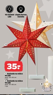 Gwiazda na nóżce 10 LED (beżowa) promocja w Netto