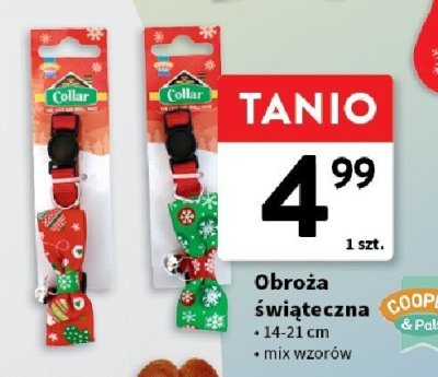 Obroża promocja w Intermarche