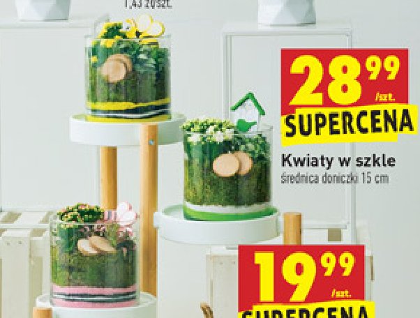 Kwiat w szkle 15 cm promocja