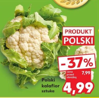 Kalafior polski Kaufland promocja w Kaufland