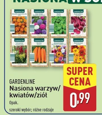 Cebulki kwiatów w torebce GARDEN LINE promocja