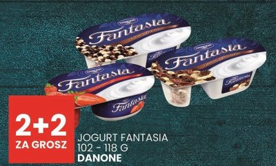 Jogurt Fantasia Danone 102-118g promocja w Wafelek