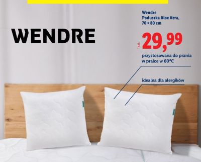 Poduszka Aloe Vera Wendre 70x80 cm promocja w Lidl