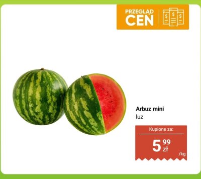 Arbuz mini luz promocja w Dino