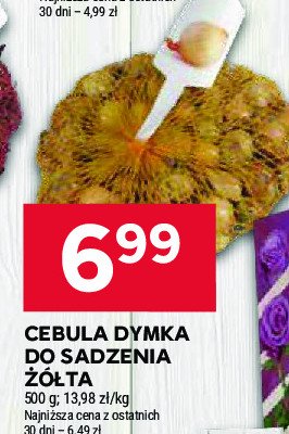 Cebula żółta promocja