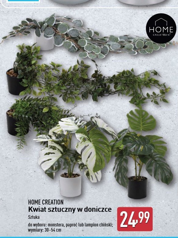Lampion chiński Home creation promocja w Aldi