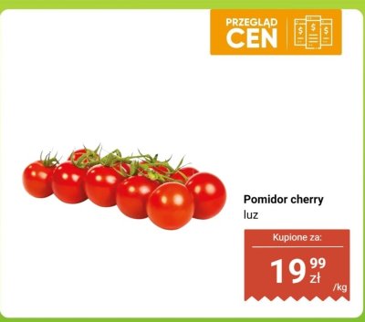 Pomidor cherry luz promocja w Dino