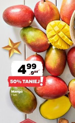 Mango promocja w Netto
