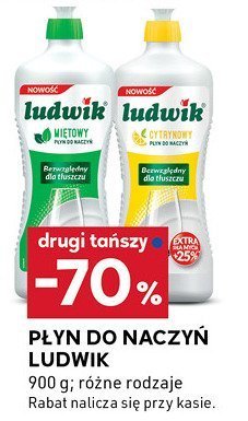 Płyn do naczyń Ludwik promocja w Stokrotka
