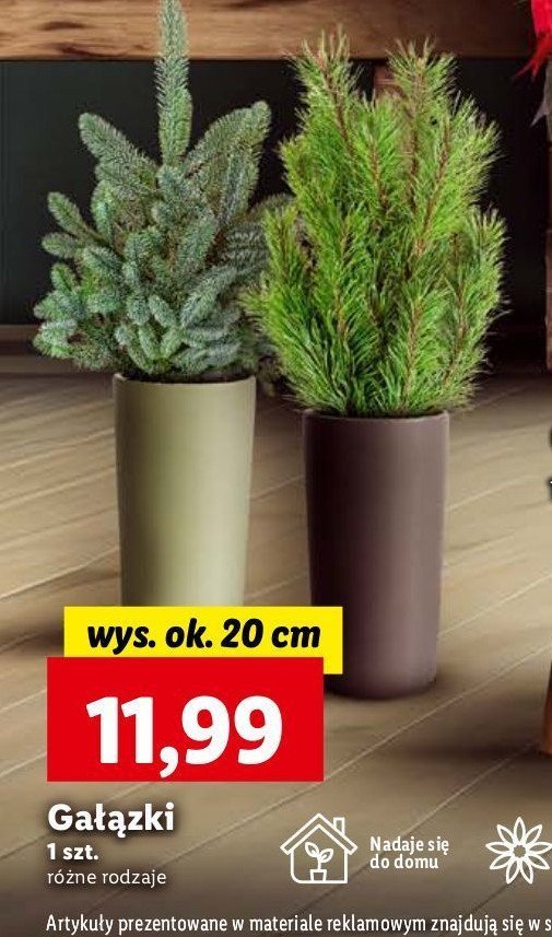 Gałązka 20 cm promocja