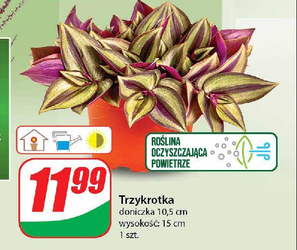 Trzykrotka promocja