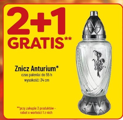 Znicz Anturium 2+1 GRATIS promocja w POLOmarket