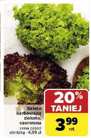 Sałata czerwona promocja w Carrefour Market