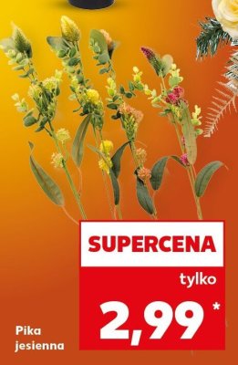 Pika jesienna promocja w Kaufland