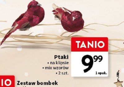 Ptaki na klipsie promocja w Intermarche