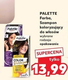 Szampon do koloryzacji włosów 341 Palette promocja