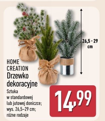 Drzewko dekoracyjne  promocja w Aldi