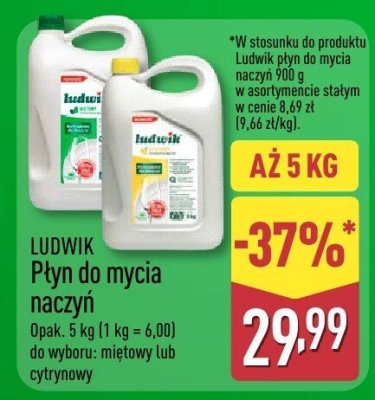Płyn do mycia naczyń 5 kg LUDWIK promocja w Aldi