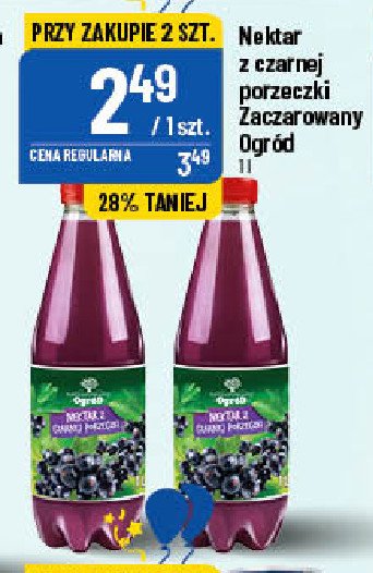 Nektar czarna porzeczka