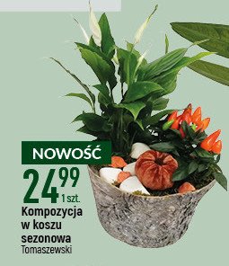 Kompozycja w koszu sezonowa Tomaszewski promocja