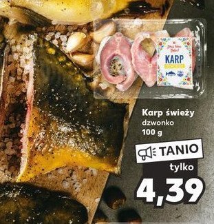 Karp dzwonko K-classic stąd takie dobre! promocja