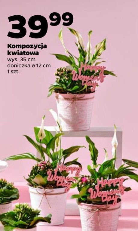 Kompozycja kwiatowa 35 cm promocja