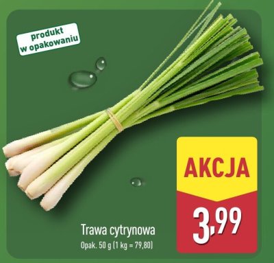 Przyprawa wok trawa cytrynowa Vitasia china promocja w Aldi