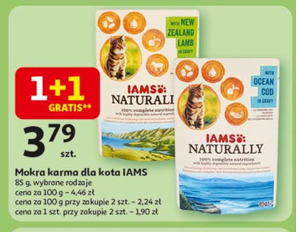 Karma dla kota z nowozelandzką jagnięciną w sosie Iams naturally promocja w Auchan