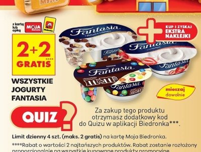 Jogurt Fantasia wszystkie rodzaje promocja w Biedronka