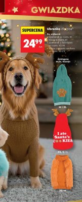Ubranko dla psa ACTIVPET  promocja w Biedronka