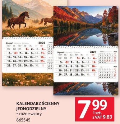Kalendarz ścienny 34 x 44 cm promocja w Selgros