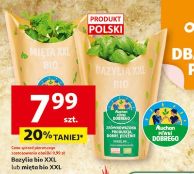 Mięta bio XXL Auchan promocja w Auchan