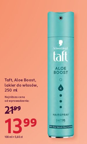Lakier Taft aloe boost promocja w Rossmann