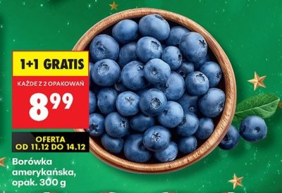 Borówka amerykańska 1+1 GRATIS promocja w Biedronka