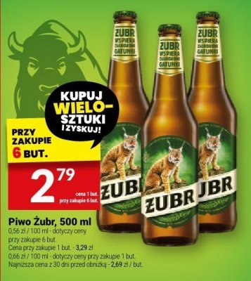 Piwo Żubr promocja w Twój Market