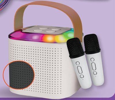 Głośnik z 2 mikrofonami  promocja w Biedronka