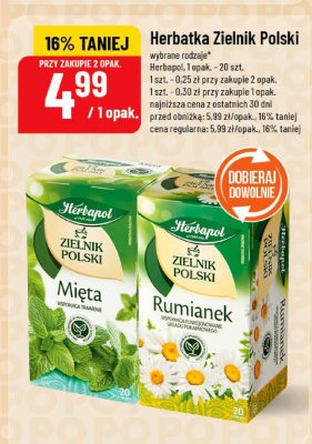 Herbatka Zielnik Polski Mięta promocja w POLOmarket