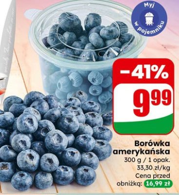 Borówka amerykańska 300 g promocja w Dino