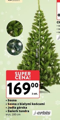 Choinka Jodła górska 180 cm promocja w Intermarche