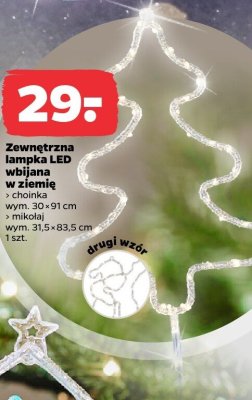 Choinka promocja w Netto