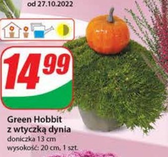 Green hobbit z wtyczk膮 dynia 13 cm promocja