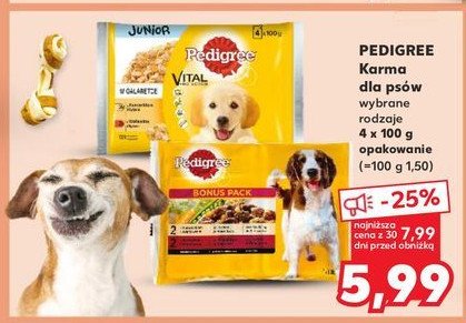 Karma dla psa kurczak + indyk Pedigree promocja