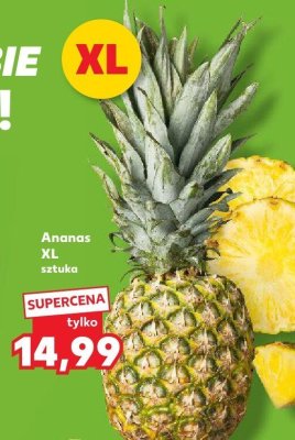 Ananas XL Kaufland promocja w Kaufland