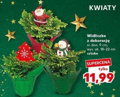 Widliczka z dekoracją promocja w Kaufland