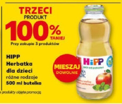 Herbatka dla dzieci Hipp różne rodzaje 500 ml butelka promocja w Kaufland