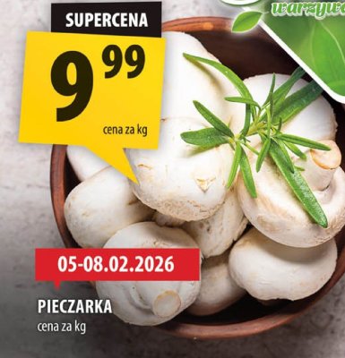 Pieczarka promocja w Arhelan